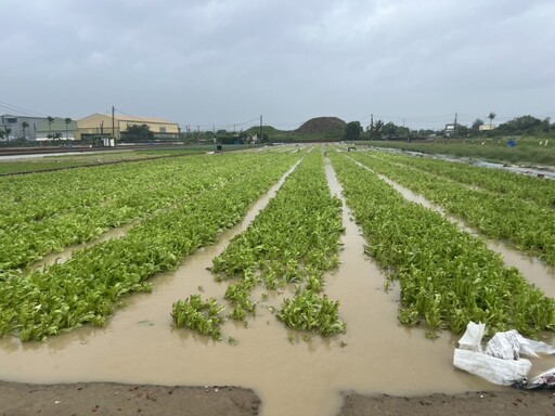 高雄農損超過2.1億 5種水果及蔬菜類申報得免勘