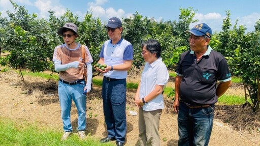 凱米颱風重創古坑農作 劉建國會勘促簡化農損申請流程