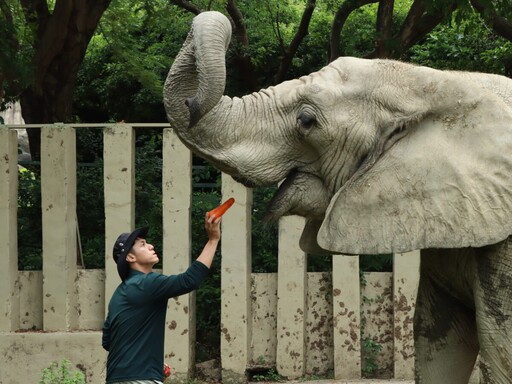 父愛如山！壽山動物園向辛勤的超級動物奶爸致敬