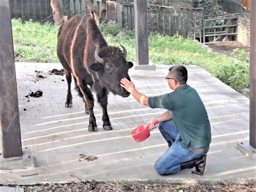 父愛如山！壽山動物園向辛勤的超級動物奶爸致敬