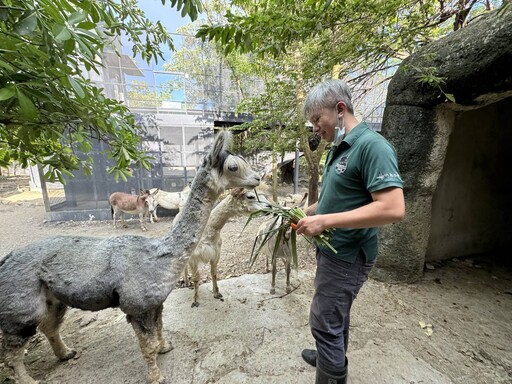 父愛如山！壽山動物園向辛勤的超級動物奶爸致敬