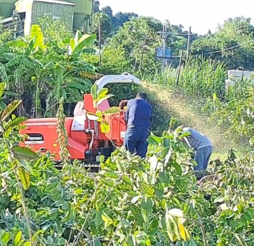 「人機聯手」高效復耕 機械化管理助力災後農田復原