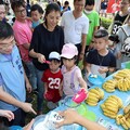 中興新村植物園夏午冰果事 許縣長推廣在地冰品美食