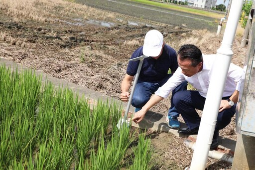 嘉縣推動智能水稻管理系統 助農民節水省人力