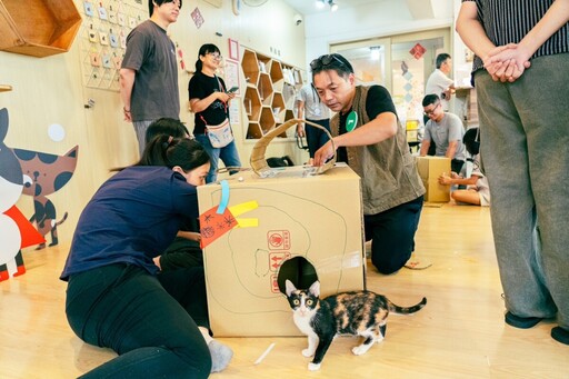 高雄「喵喵鐵奴三項競賽」嗨翻全場 20貓奴拼鏟屎官榮譽爭金牌