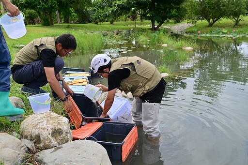 台東森林公園新風貌！復育原生種重啟生態平衡之美