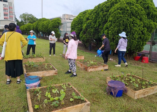 一米菜園栽種作物 聖約翰科大婦女大學實現都市農夫夢