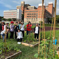 一米菜園栽種作物 聖約翰科大婦女大學實現都市農夫夢