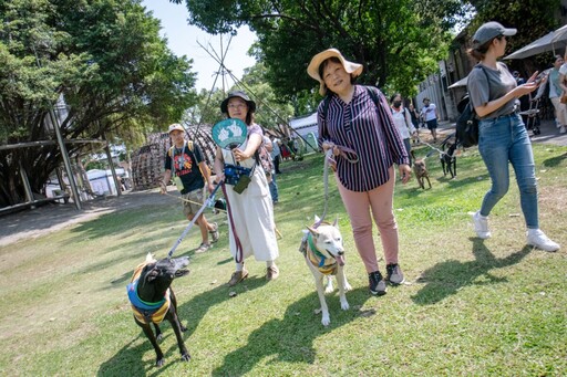 全台首創！毛孩嗷運聖火首度海上傳遞 遊船快報名