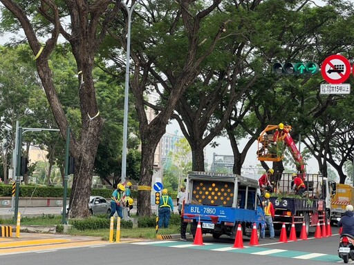 山陀兒颱風來襲 高雄輕軌加強整備與沿線雨豆樹纜索固定護樹作業