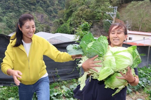 山陀兒陸上警戒 許縣長原鄉勘察防災幫搶收高麗菜