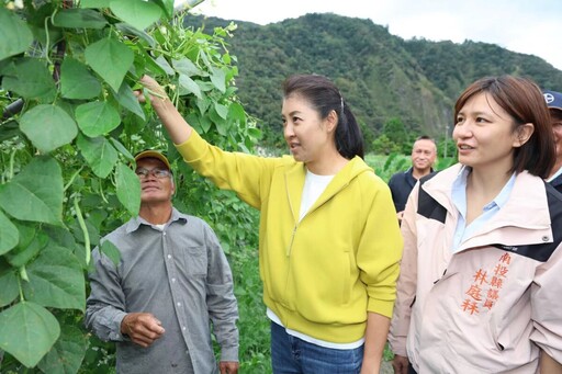 山陀兒陸上警戒 許縣長原鄉勘察防災幫搶收高麗菜