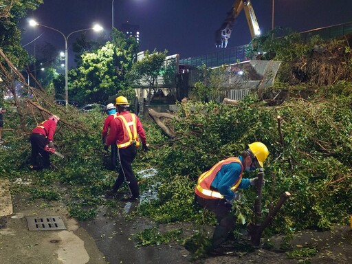 高雄主要道路樹障搶通 林欽榮夜視察次要道路清理進度