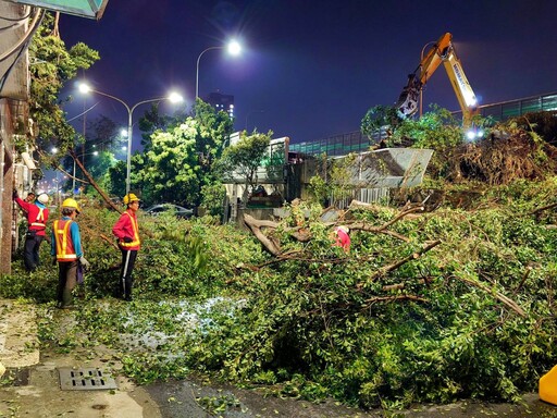 高雄主要道路樹障搶通 林欽榮夜視察次要道路清理進度