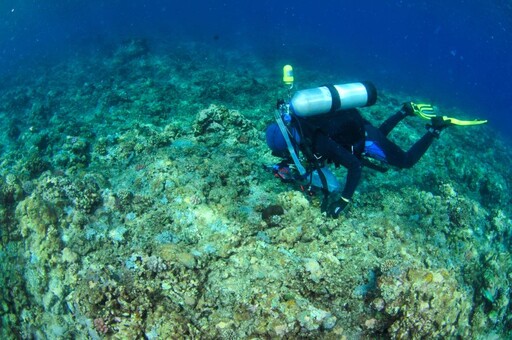 南海海洋生物多樣性世界新魚種 國海院海大聯合團隊以太平島命名