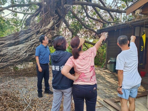 搶救百年榕樹 高市啟動扶正行動