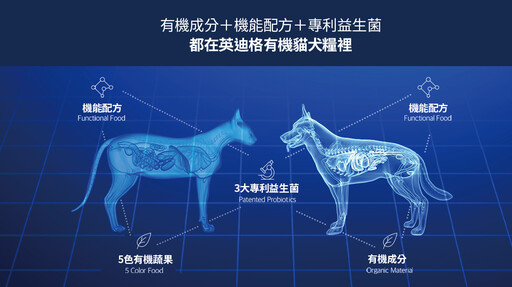 跟著韓國歐巴吃同款 INDIGO英迪格抵台啦！