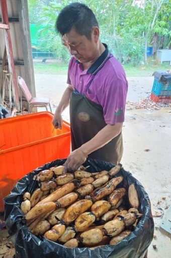 蓮藕導入營養午餐 桃園市師生品嚐在地認證食材