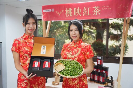 113年桃園市優質紅茶評鑑比賽頒獎 鍾桂香獲特等獎