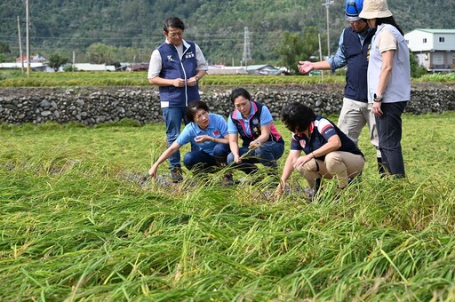 康芮強風豪雨重創臺東農漁業 饒慶鈴勘災呼籲中央支援協助農民