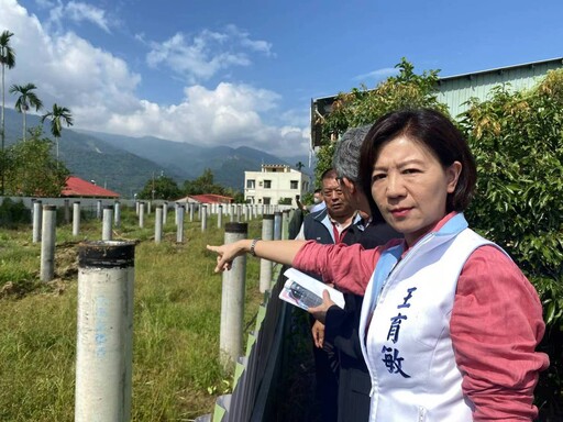 立院衛環委員嘉義大埔考察 王育敏要求爭議光電案場停工