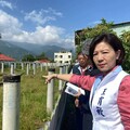 立院衛環委員嘉義大埔考察 王育敏要求爭議光電案場停工