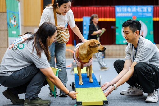 毛孩勇闖障礙賽！「小肉豆」X「荳荳」展現默契奪冠