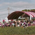 食農虎告讚千人拷土豆 雲林縣體驗親手拔花生田間之樂