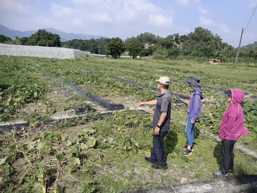 康芮颱風致災 高市府再爭取8項農損補助項目即日起受理