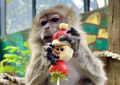 壽山動物園歡度聖誕秀創意 環境永續「構」好玩