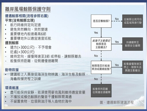 海大倡鯨豚保護守則 彰芳西島、中能、允能風場共襄盛舉