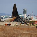 空難背後的啟示：鳥擊風險與救援能力的再檢視／魯云湘