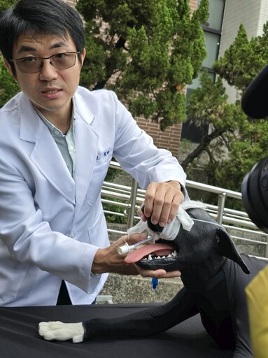 全國獸醫仿生教具最齊全的大學 興大「小動物仿生教具」啟用