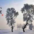 小 寒／魯云湘