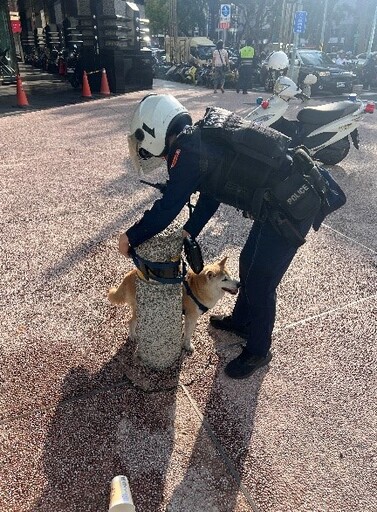 柴柴遇車禍受驚嚇 凱旋警協助毛小孩安全回家