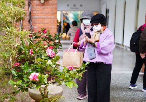 竹縣茶花季盛典開幕 迎接浪漫茶花之美