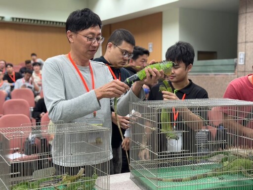 高雄綠鬣蜥獵人訓練114年再開兩梯次 第一梯次16日開放報名