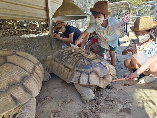 壽山動物園喜迎蛇年 1/25-2/2全國12歲以下兒童免費入園