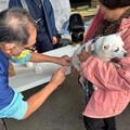 偏鄉巡迴犬貓絕育活動 新春前首場大樹區開跑