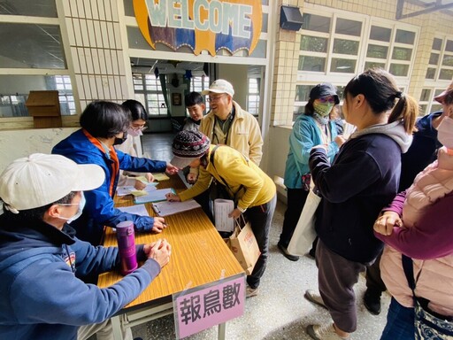 西伯利亞遠渡來台的小辮鴴 今年一萬六千多隻創紀錄