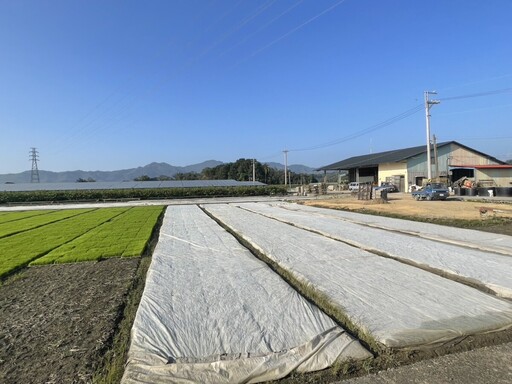 寒流襲擊全台 高雄農業局籲防寒防災減少損失