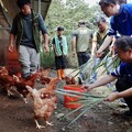 芥菜種會培力偏鄉小農自然農法 跨越食品檢驗高牆