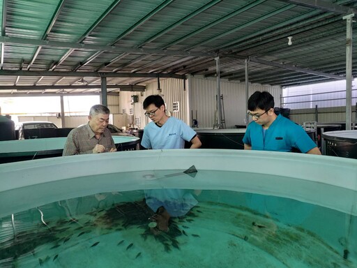 魚苗放養掌握先機 動保處助養殖業大豐收