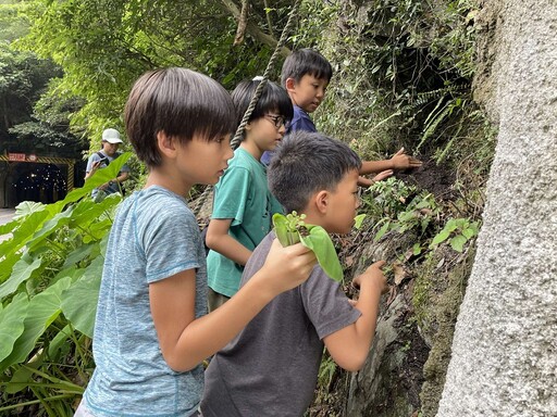 烏來部落夥伴關係 共創共享原鄉森林資源利益