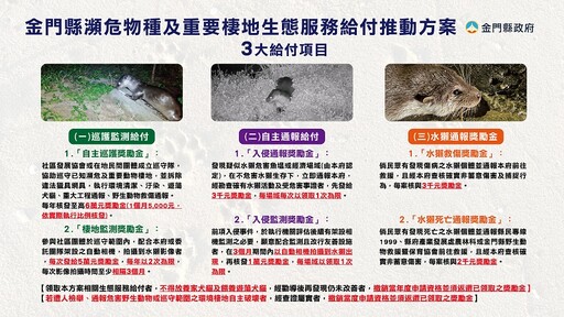 114年金門友善水獺生態服務給付計畫開跑 即日起受理申請