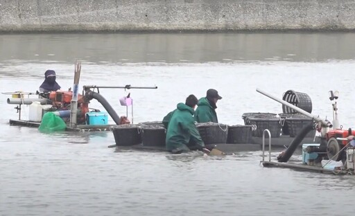 雲縣府、屏科大攜手改善文蛤養殖環境 成果顯著將擴大輔導範圍