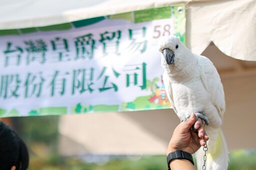 蛇年開春最萌盛會！ 高雄神農市集寵物認養X裝扮走秀X爬蟲體驗 帶毛孩一起來玩