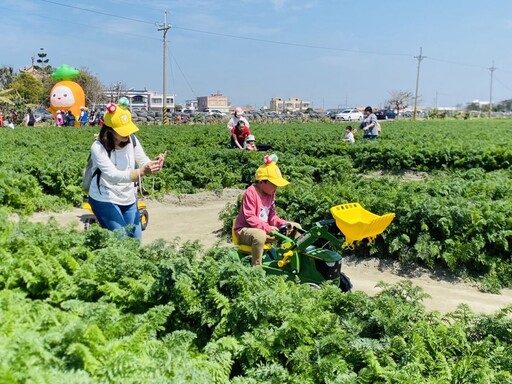 VDS「國際台灣胡蘿蔔日」萬人拔蘿蔔 小朋友瘋玩農機具賽道