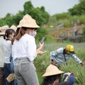 高雄睽違20年再辦全原運 運發局同步推8條「雄原味」運動觀光遊程