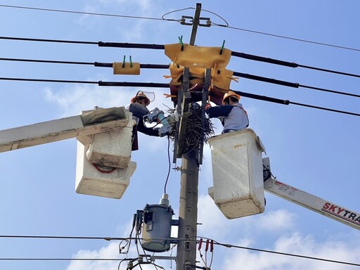 驚蟄到來防鳥獸 台電出動逾4000人強化供電穩定